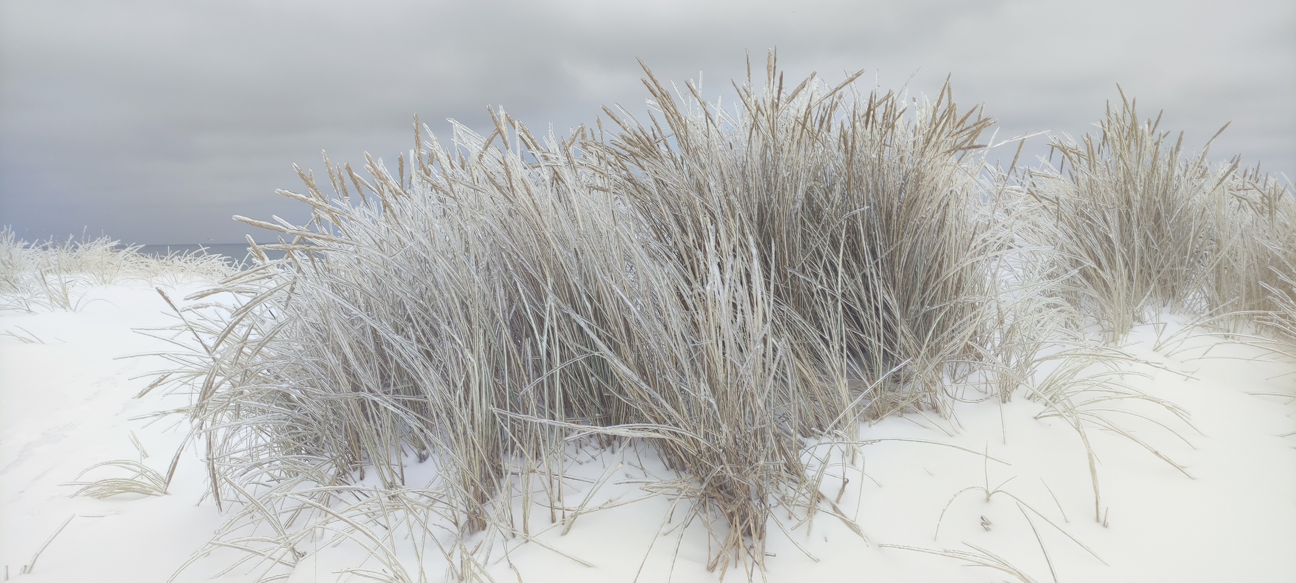 Зимняя дюна